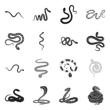 Isolated object of harm and bite symbol. Collection of harm and reptile vector Stock-Illustration