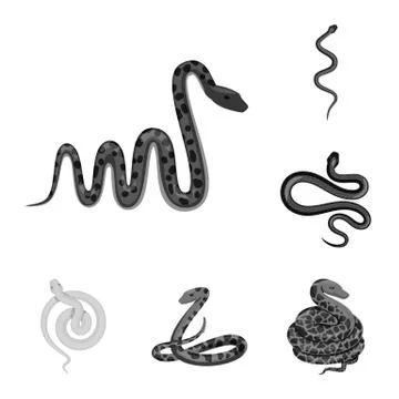 Isolated object of harm and bite sign. Collection of harm and reptile stock イラスト素材