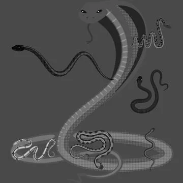 Isolated object of harm and bite symbol. Set of harm and reptile stock vector Stock-Illustration