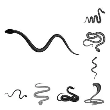 Isolated object of harm and bite icon. Set of harm and reptile vector icon for Illustrazione stock