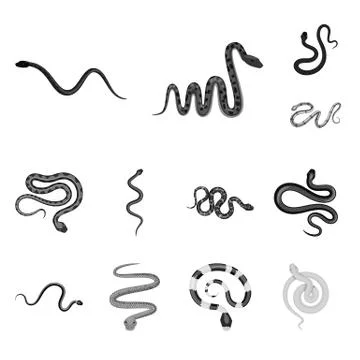 Isolated object of harm and bite icon. Set of harm and reptile vector icon for 库存插图