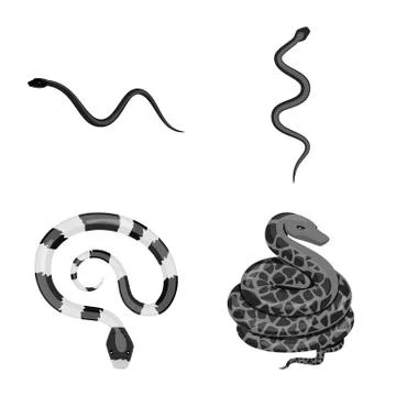 Isolated object of harm and bite icon. Set of harm and reptile stock vector Stock-Illustration