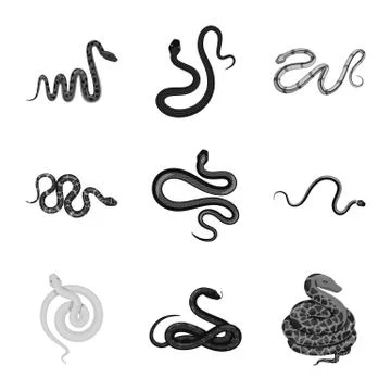 Isolated object of harm and bite icon. Collection of harm and reptile vector Stock Illustration