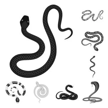 Isolated object of harm and bite logo. Set of harm and reptile stock symbol for Stock-Illustration