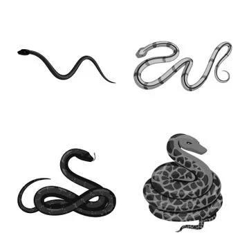 Isolated object of harm and bite icon. Set of harm and reptile stock vector Stock Illustration