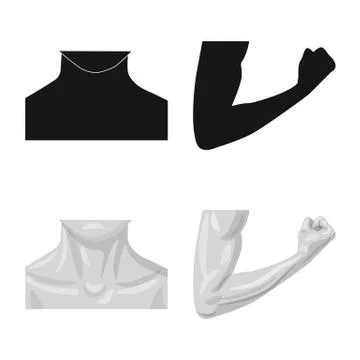 Isolated object of human and part symbol. Set of human and woman vector icon for Stock-Illustration