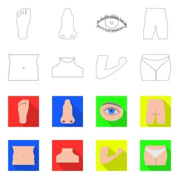 Isolated object of human and part symbol. Set of human and woman vector icon for Stock-Illustration