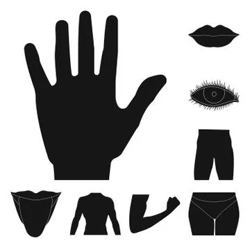 Isolated object of human and part icon. Set of human and woman vector icon for Stock Illustration