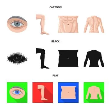 Isolated object of human and part symbol. Set of human and woman stock vector Stock Illustration
