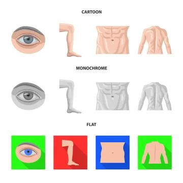 Isolated object of human and part icon. Collection of human and woman stock Stock Illustration