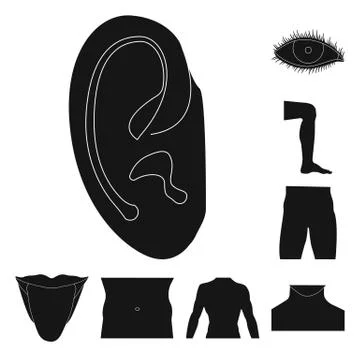 Isolated object of human and part icon. Set of human and woman stock symbol for Stock-Illustration