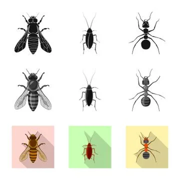 Isolated object of insect and fly sign. Collection of insect and element stock Illustrazione stock