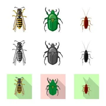Isolated object of insect and fly logo. Collection of insect and element stock Illustrazione stock