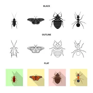 Isolated object of insect and fly symbol. Set of insect and element stock symbol Illustrazione stock