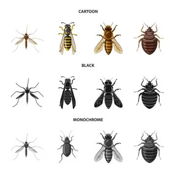 Isolated object of insect and fly symbol. Set of insect and element stock symbol Stock-Illustration
