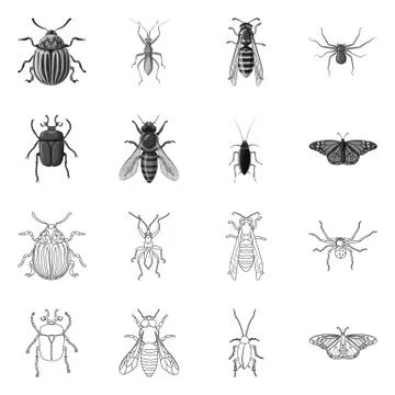Isolated object of insect and fly icon. Collection of insect and element stock Illustrazione stock