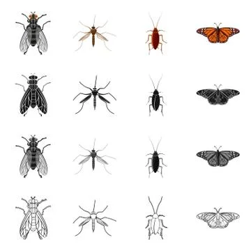Isolated object of insect and fly symbol. Collection of insect and element Illustrazione stock