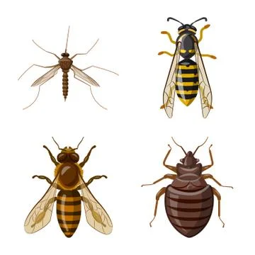 Isolated object of insect and fly logo. Collection of insect and element vector Stock Illustration