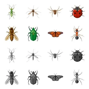 Isolated object of insect and fly symbol. Set of insect and element stock symbol Stock-Illustration
