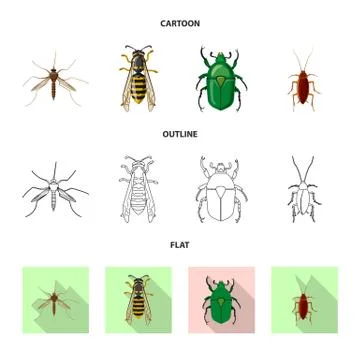 Isolated object of insect and fly sign. Set of insect and element stock symbol Stock Illustration