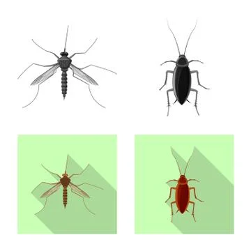 Isolated object of insect and fly icon. Collection of insect and element stock Illustrazione stock