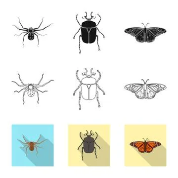 Isolated object of insect and fly sign. Collection of insect and element stock Stock Illustration