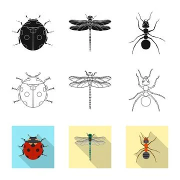 Isolated object of insect and fly icon. Collection of insect and element vector Stock Illustration