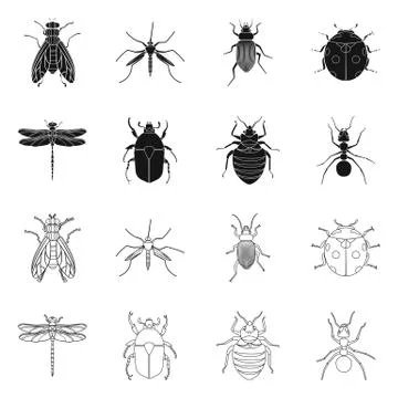 Isolated object of insect and fly symbol. Set of insect and element vector icon Stock-Illustration