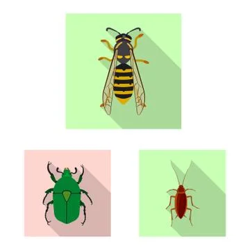 Isolated object of insect and fly icon. Set of insect and element stock vector Stock Illustration
