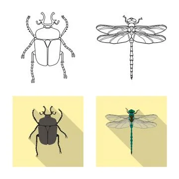 Isolated object of insect and fly icon. Collection of insect and element vector 스톡 일러스트
