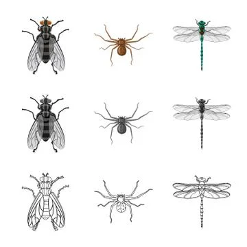 Isolated object of insect and fly logo. Set of insect and element stock symbol Stock Illustration