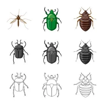 Isolated object of insect and fly icon. Set of insect and element stock symbol Stock Illustration