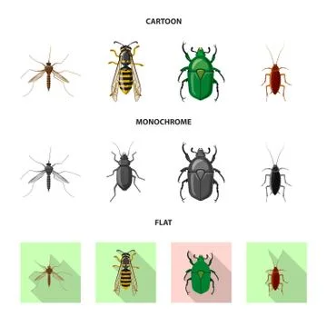 Isolated object of insect and fly symbol. Collection of insect and element stock Stock-Illustration