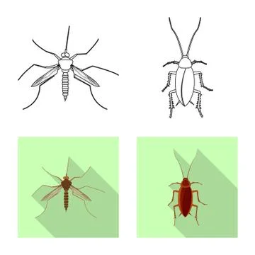 Isolated object of insect and fly symbol. Set of insect and element vector icon Stock Illustration