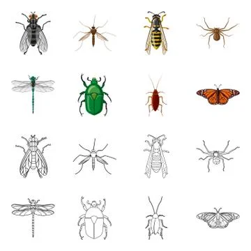 Isolated object of insect and fly logo. Set of insect and element vector icon Illustrazione stock