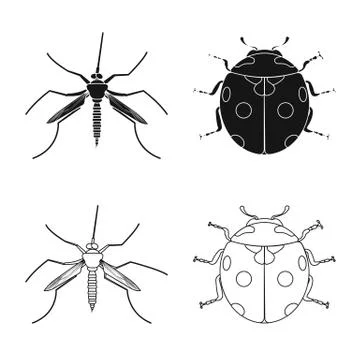 Isolated object of insect and fly symbol. Collection of insect and element stock Stock-Illustration