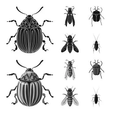 Isolated object of insect and fly symbol. Set of insect and element stock symbol Ilustración de archivo