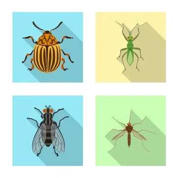 Isolated object of insect and fly sign. Collection of insect and element stock Stock Illustration