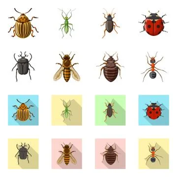 Isolated object of insect and fly logo. Set of insect and element stock symbol Ilustración de archivo