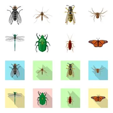 Isolated object of insect and fly sign. Collection of insect and element stock Illustrazione stock