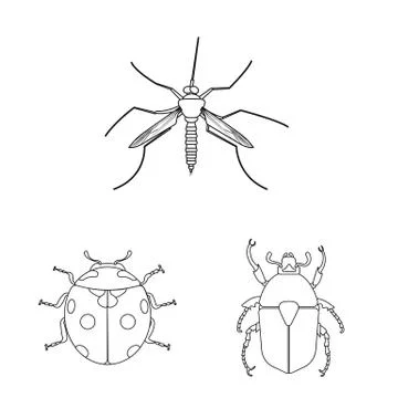 Isolated object of insect and fly symbol. Collection of insect and element stock Stock-Illustration