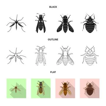 Isolated object of insect and fly icon. Collection of insect and element stock Illustrazione stock