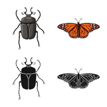 Isolated object of insect and fly logo. Set of insect and element vector icon 스톡 일러스트