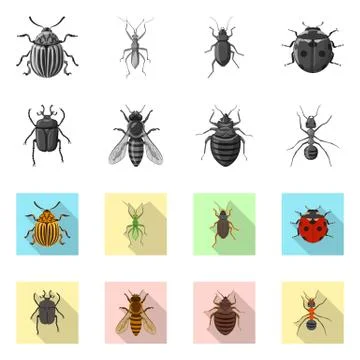 Isolated object of insect and fly symbol. Set of insect and element vector icon Ilustración de archivo