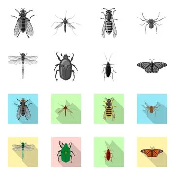 Isolated object of insect and fly sign. Set of insect and element stock vector Illustrazione stock