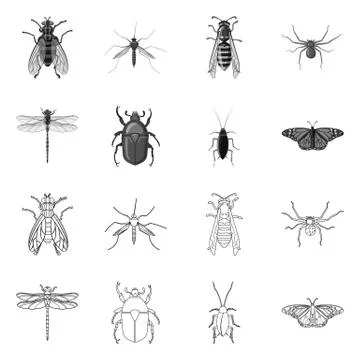 Isolated object of insect and fly icon. Set of insect and element stock vector Stock Illustration