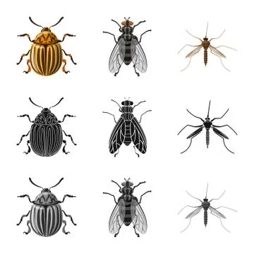 Isolated object of insect and fly symbol. Collection of insect and element stock Stock-Illustration
