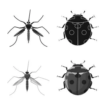 Isolated object of insect and fly icon. Collection of insect and element stock Illustrazione stock