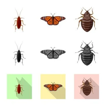 Isolated object of insect and fly symbol. Collection of insect and element stock Stock Illustration