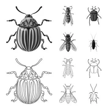 Isolated object of insect and fly icon. Collection of insect and element vector Ilustración de archivo
